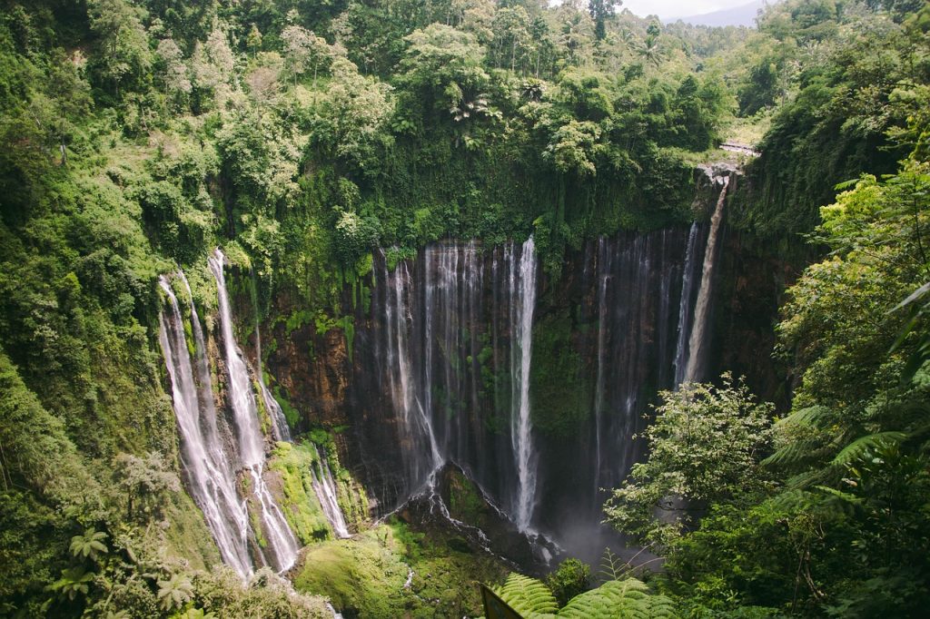 waterfall, tumpaksewu, malang, indonesia, java, eastjava, nature, water, landscape, island, forest, peak, scenic, waterfall, waterfall, indonesia, indonesia, indonesia, indonesia, indonesia